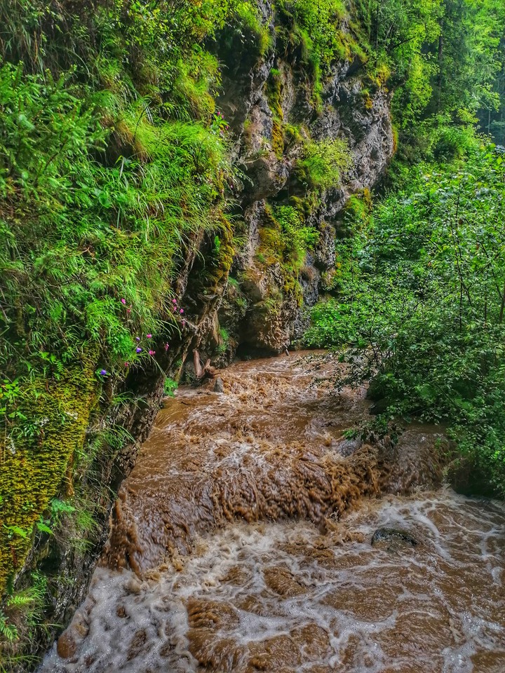 Mountain river