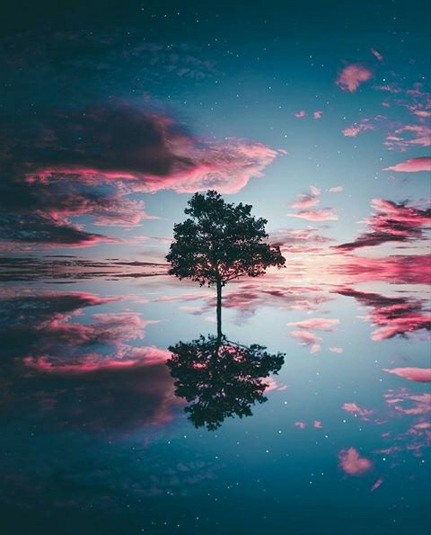 The tree of life