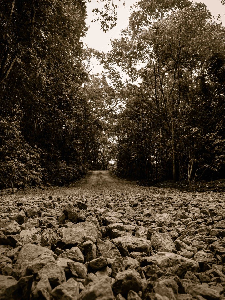 natureza
