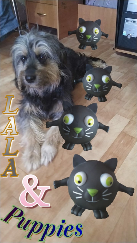 LALA