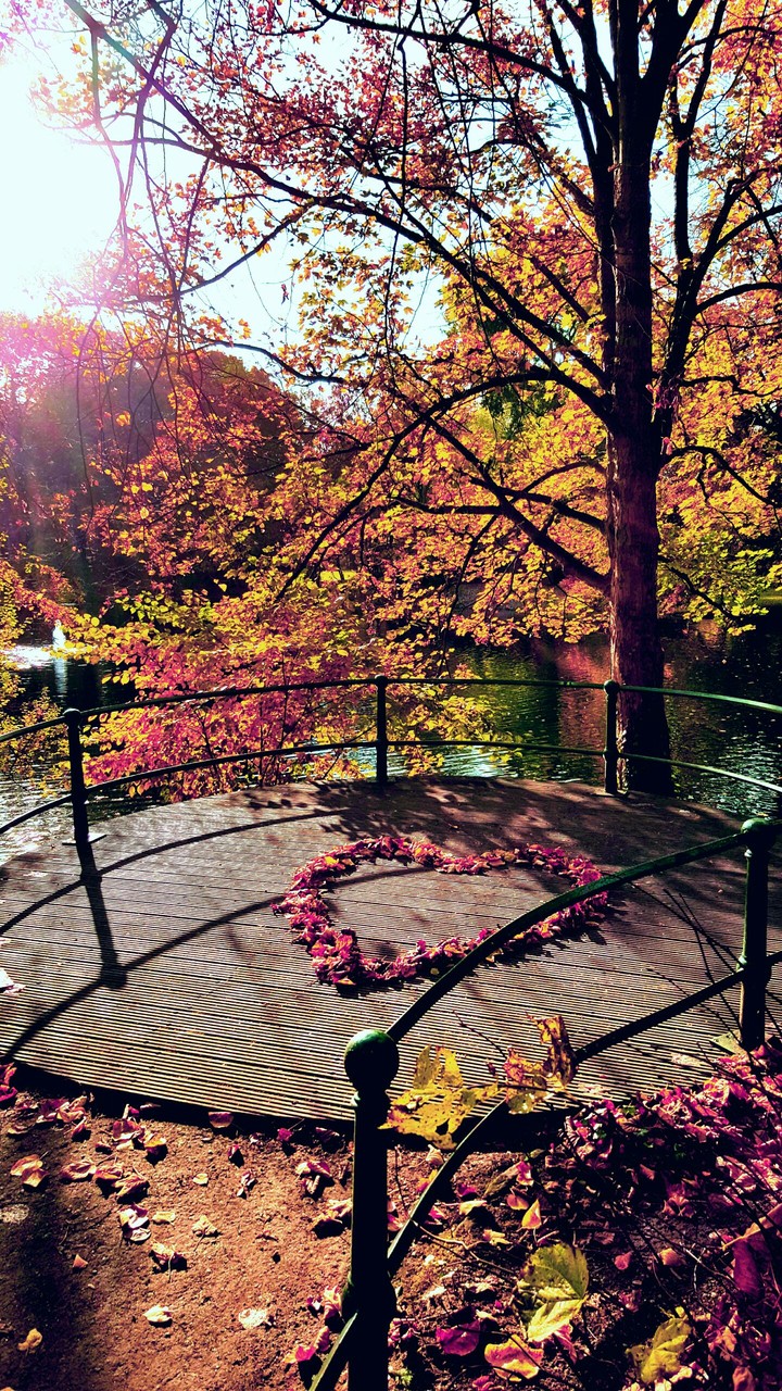 Heart in nature