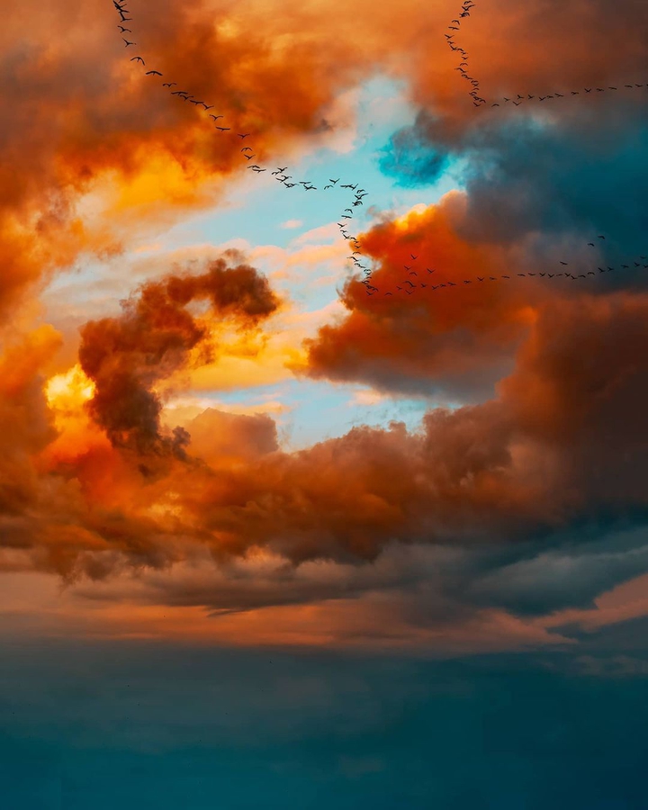 Sunset with birds