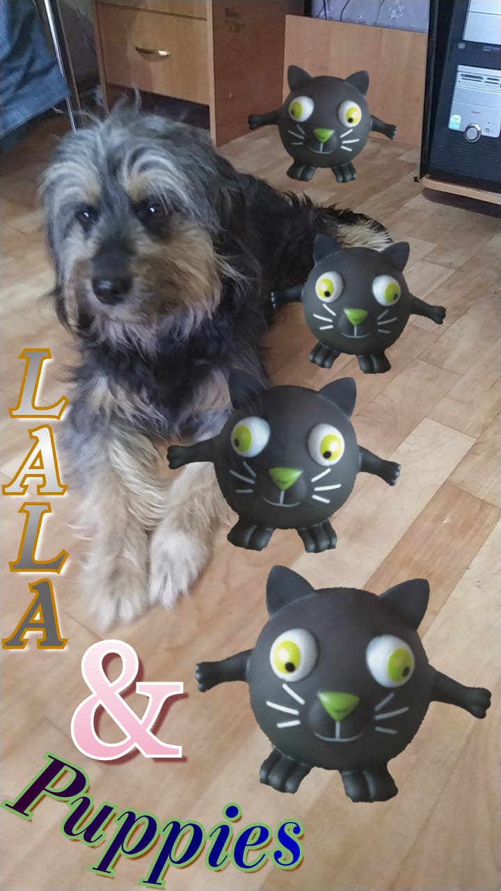 LALA