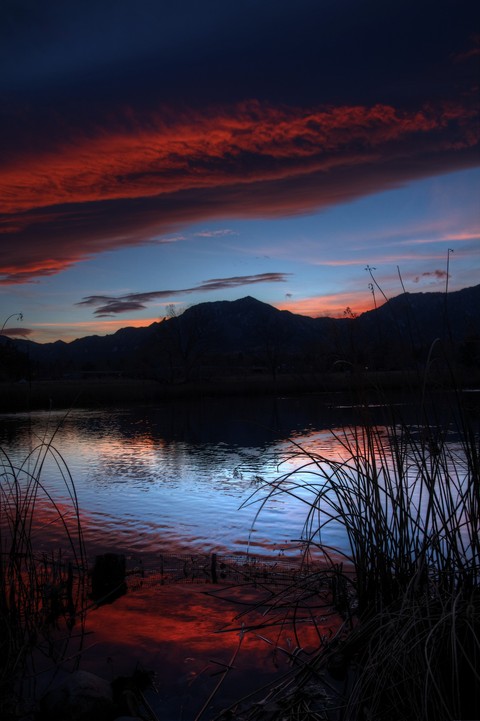 The Sunset Vibrance