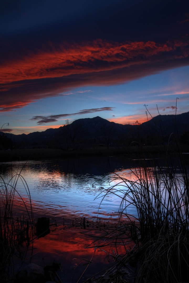 The Sunset Vibrance