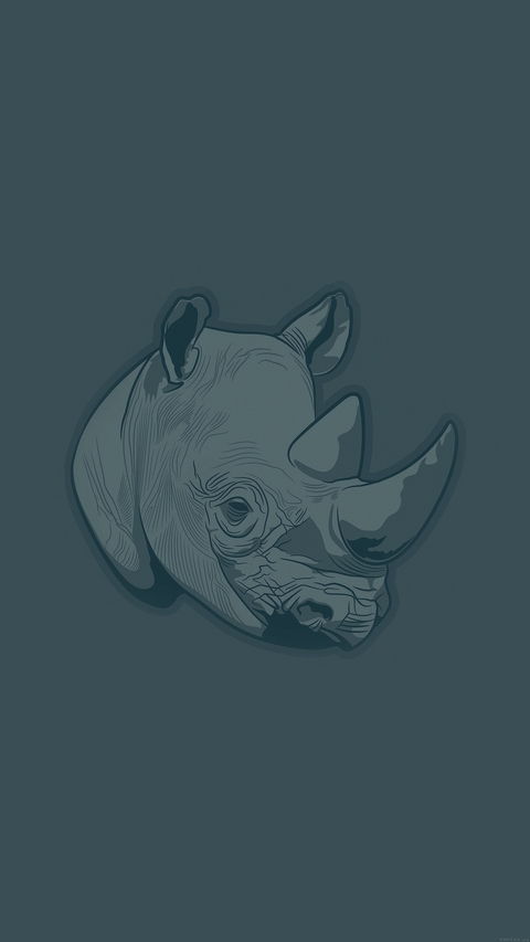 Blue Rhino