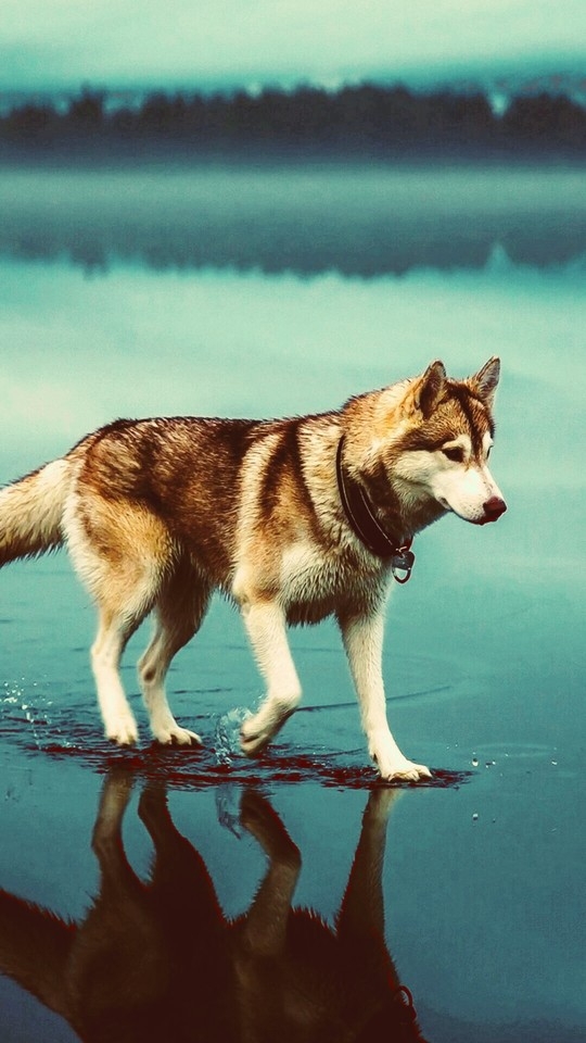 huske