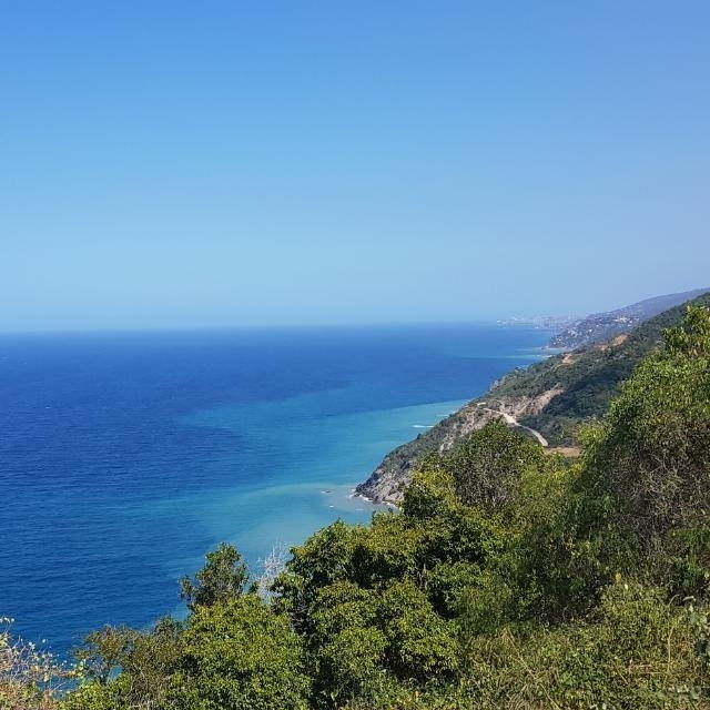 Peaceful ocean
