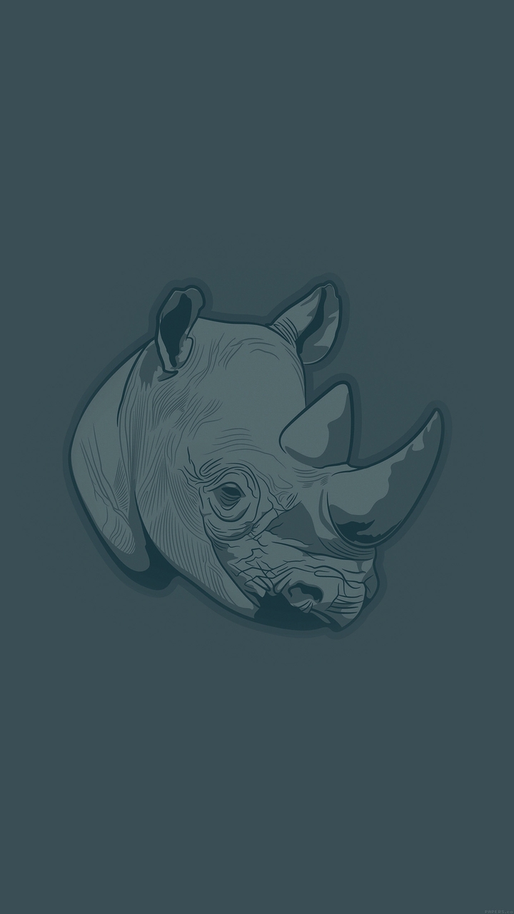 Blue Rhino