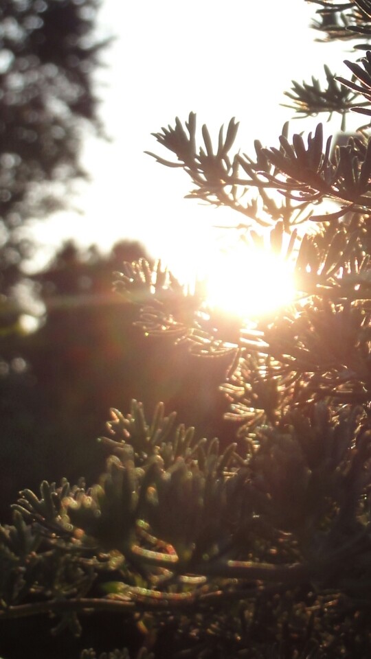 Beautiful sunset