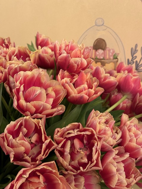 sfondi Beauty, plant