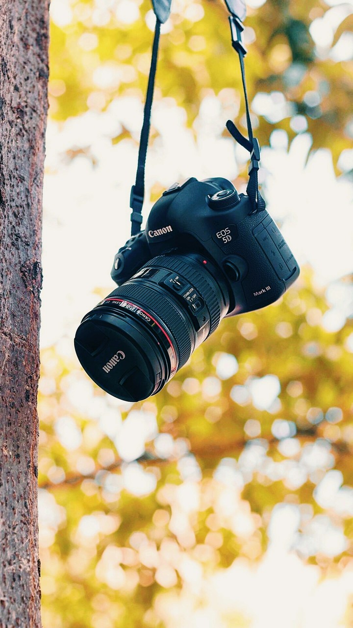 Camerascopic