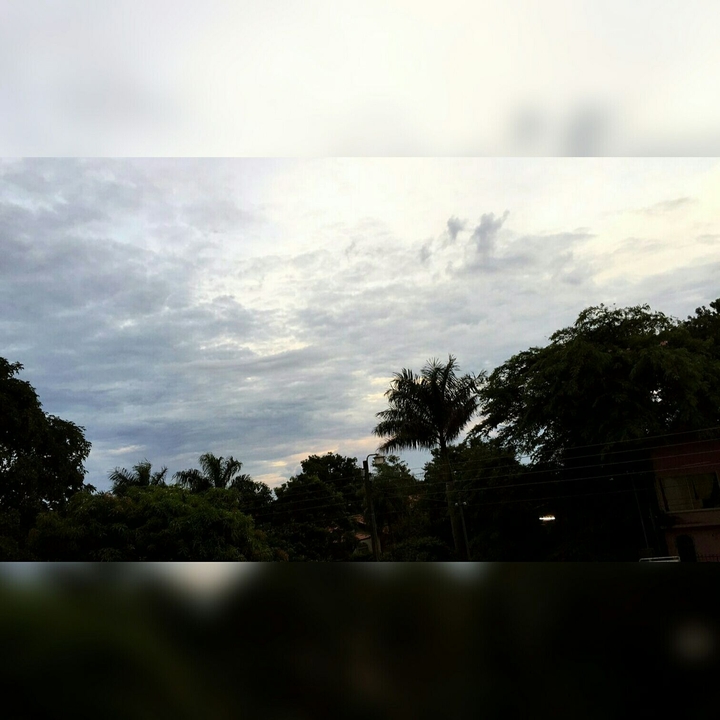 cielo