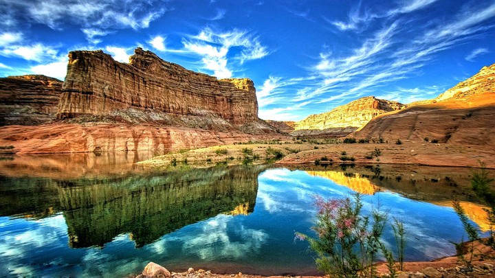 Nature♧
