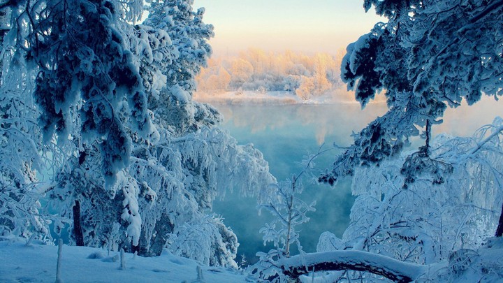 neve