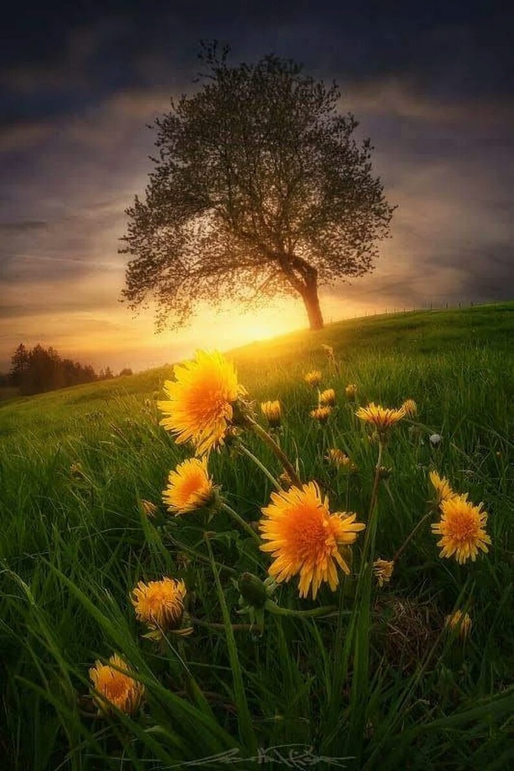 amazing..