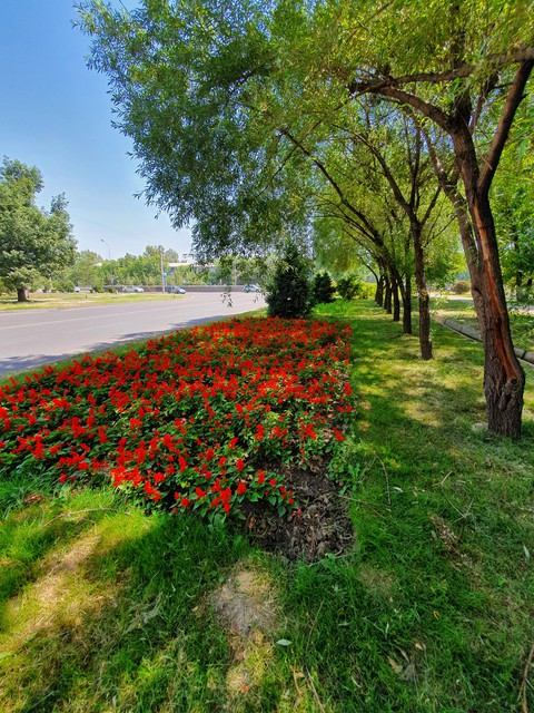 Once early morning in June
