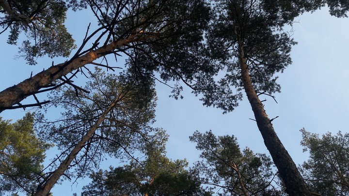 sky