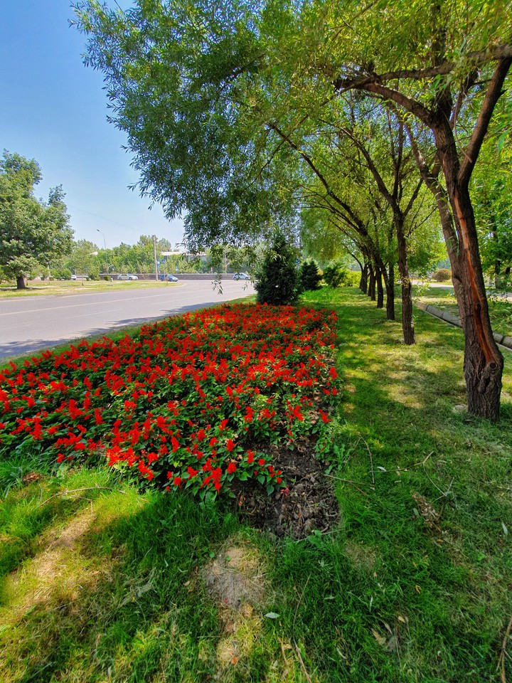 Once early morning in June