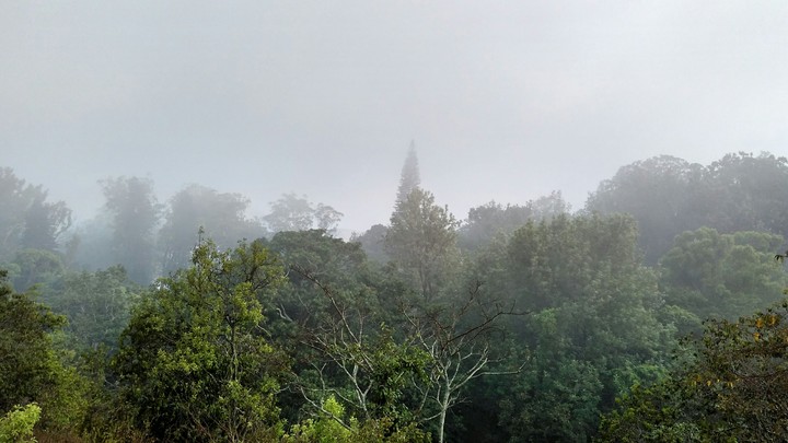 Faded in the mist