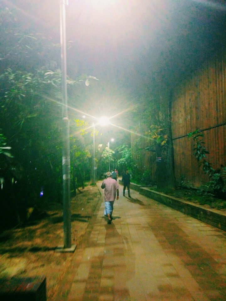 Evening walk