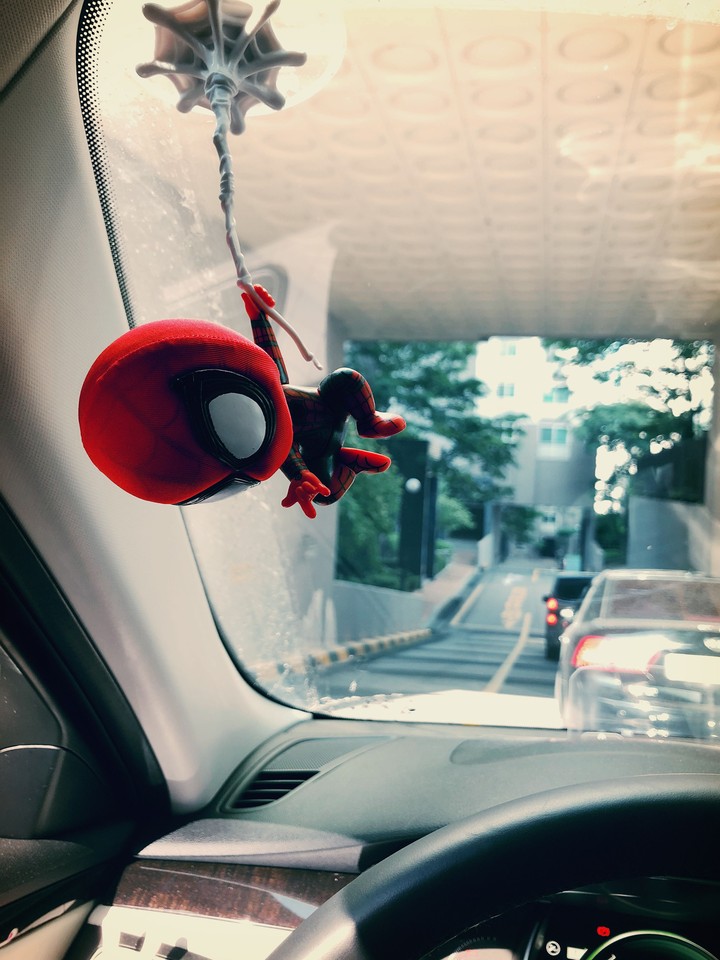 Spidy in the car