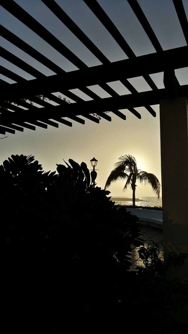 sunset