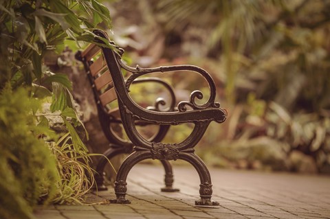 grass, plant桌布