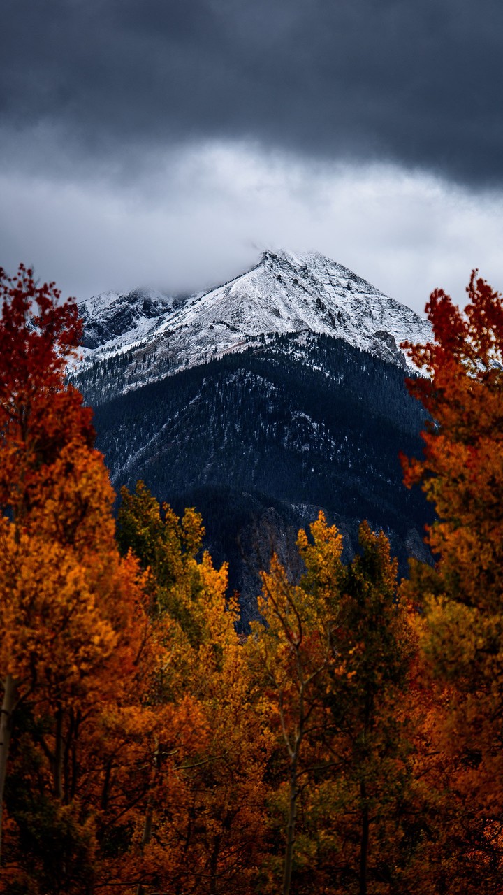 mountains