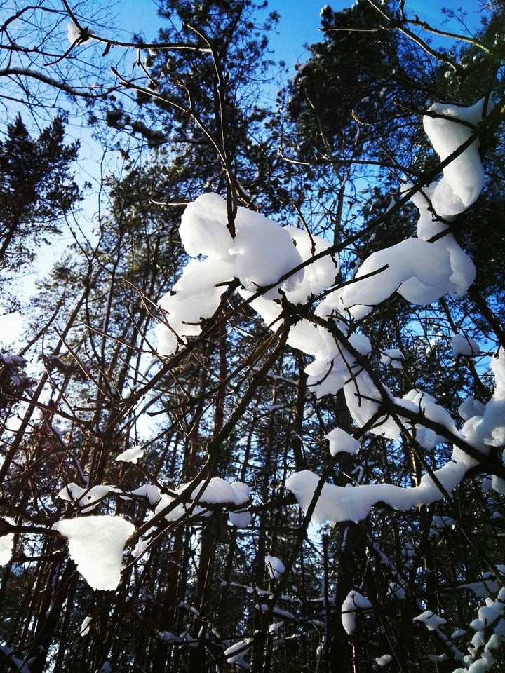 winter in Poland