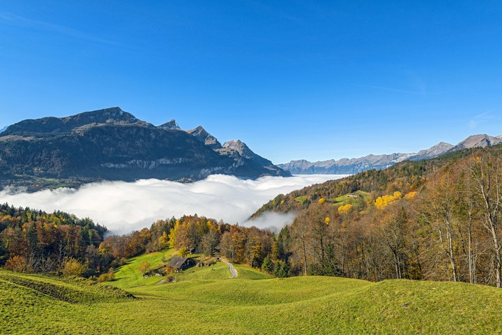 nature