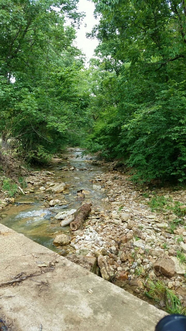 serenity
