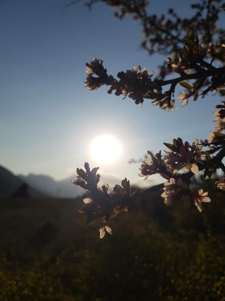 ♡