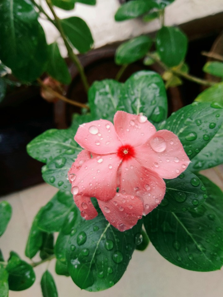 Beautiful Nature