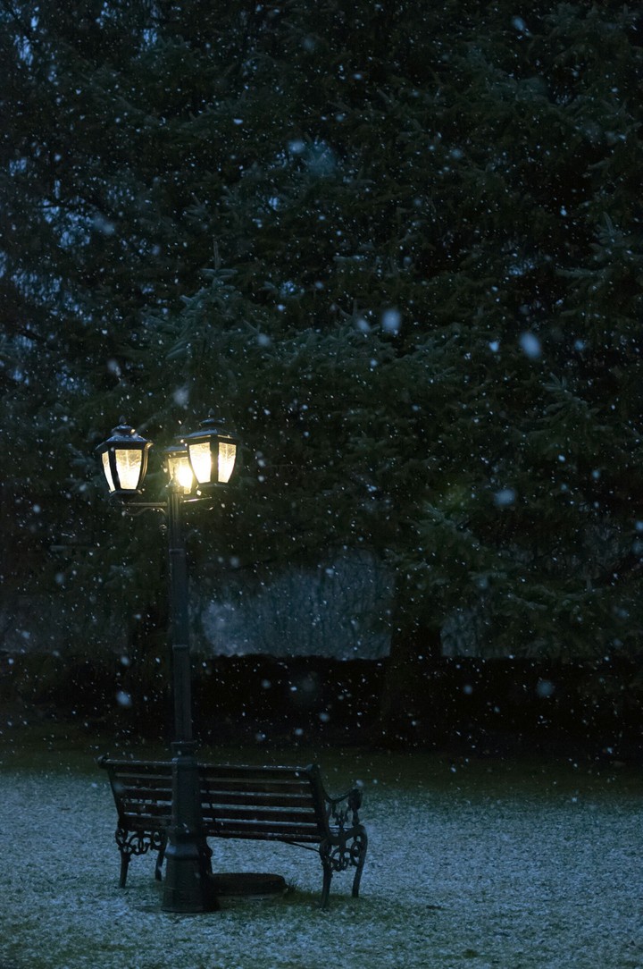 winter bench