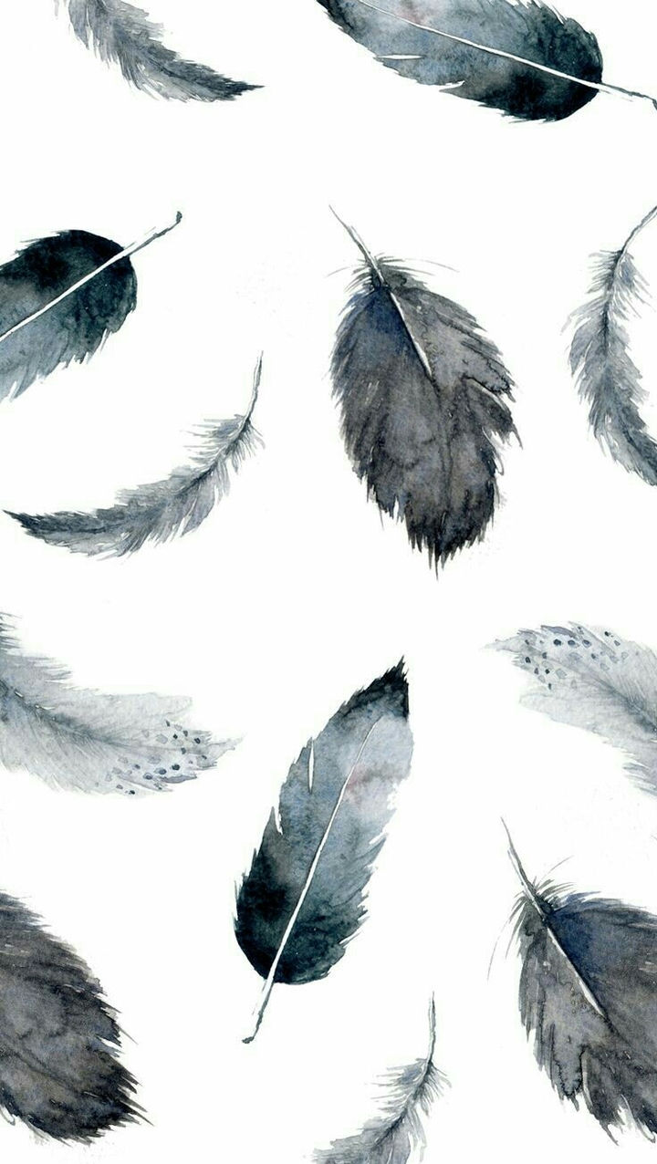 Feathers