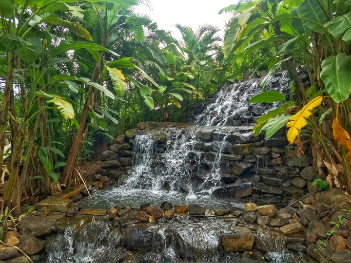 Waterfall