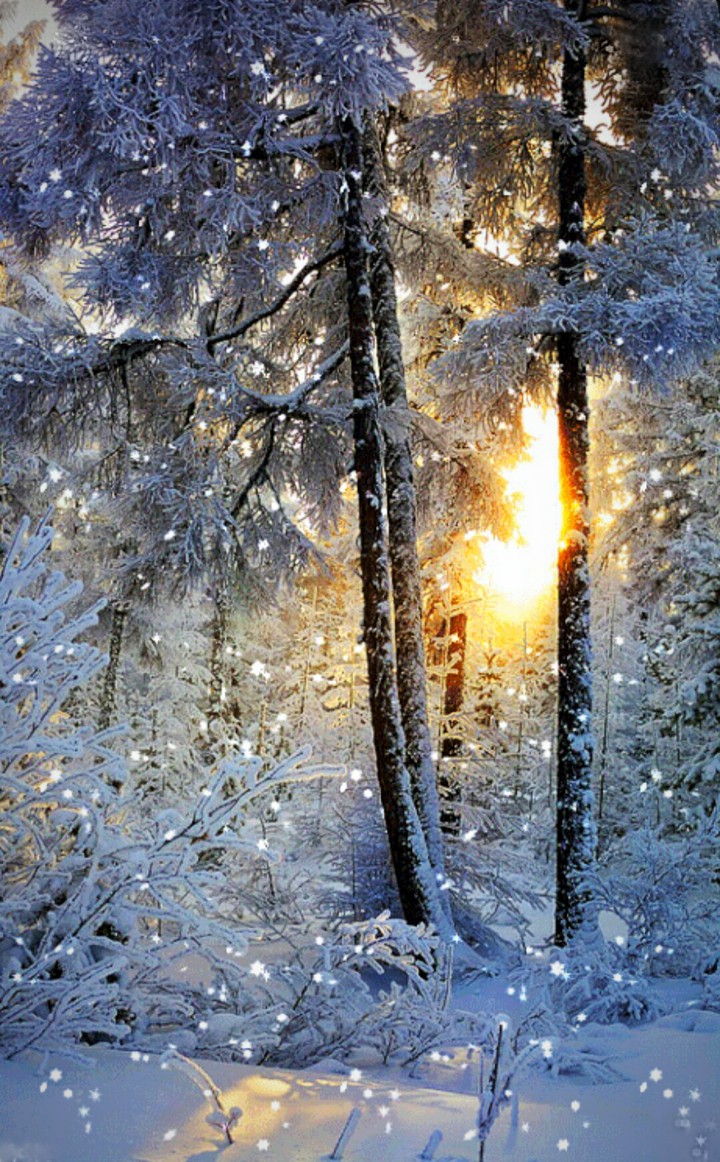 Nature