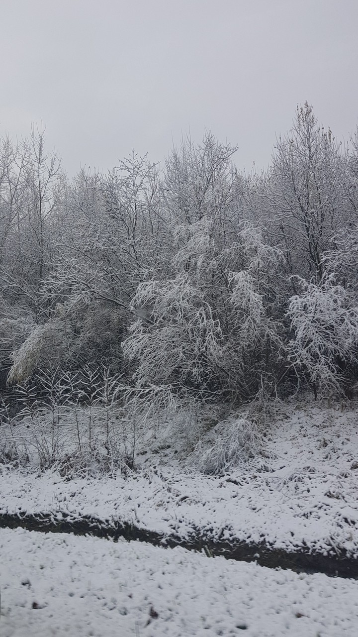 snow...