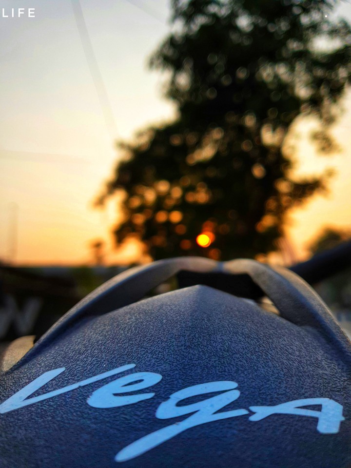 vega