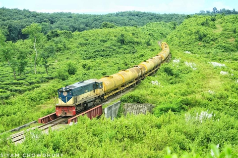 тапети plant, train