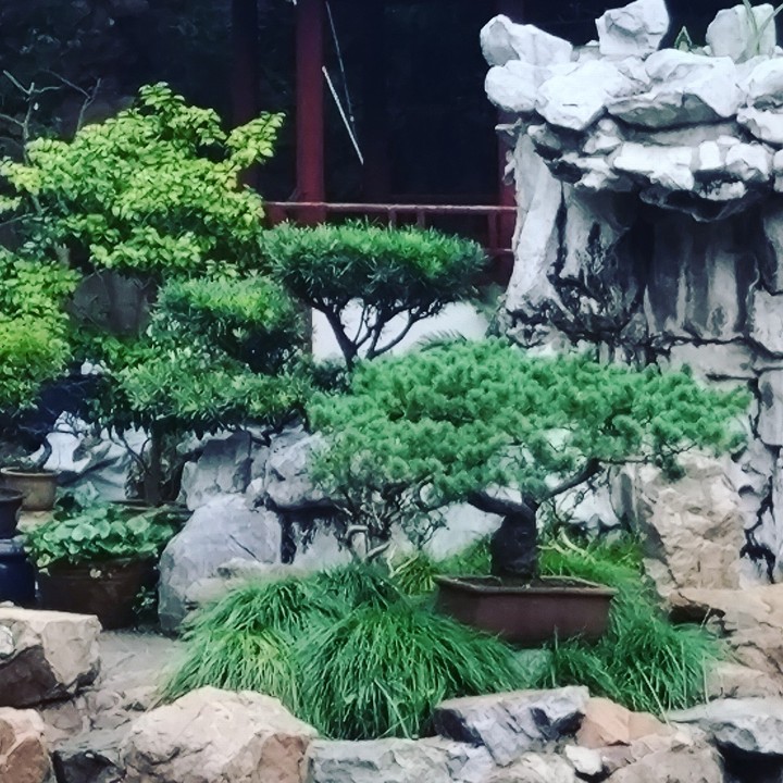 yu garden