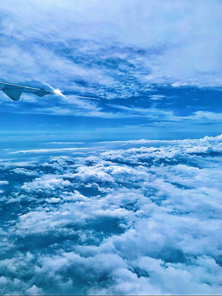 fly