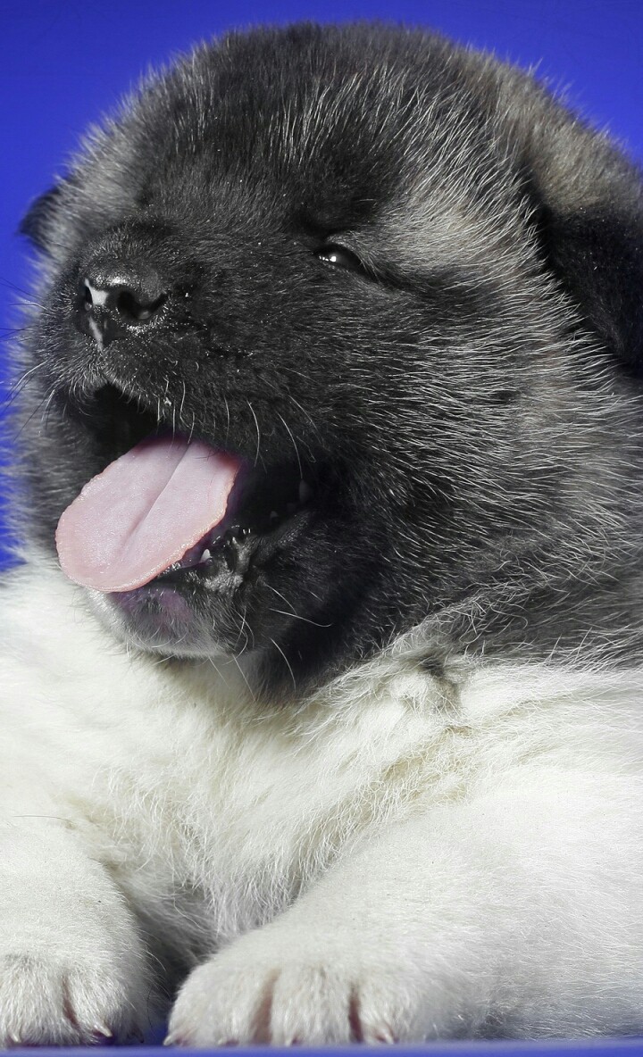 ♥