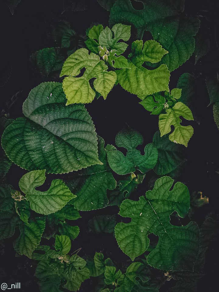 বাড়িতে