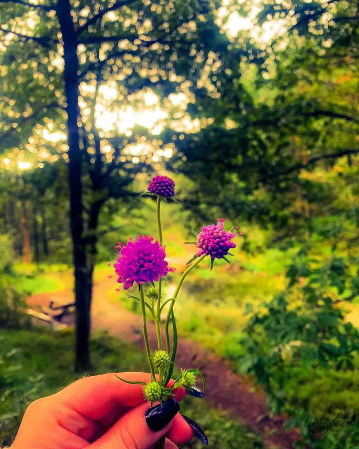 Late summer