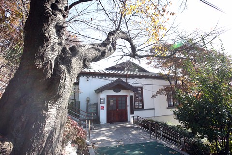 sfondi Door, branch