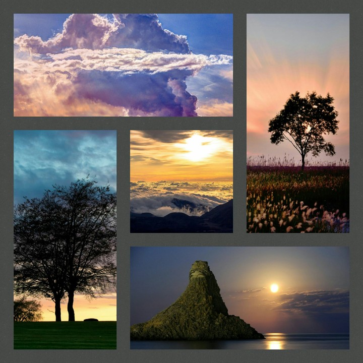 collage