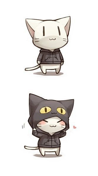 고양이