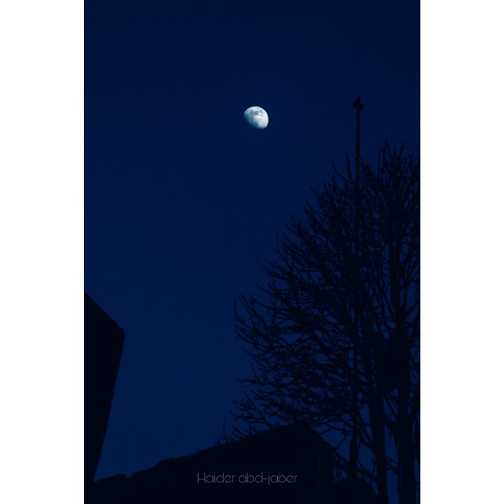 night moon